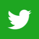 twitter icon green